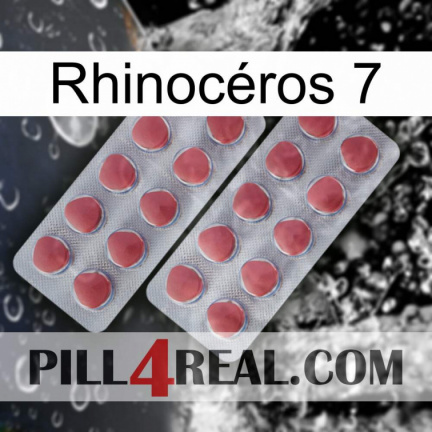 Rhinocéros 7 19
